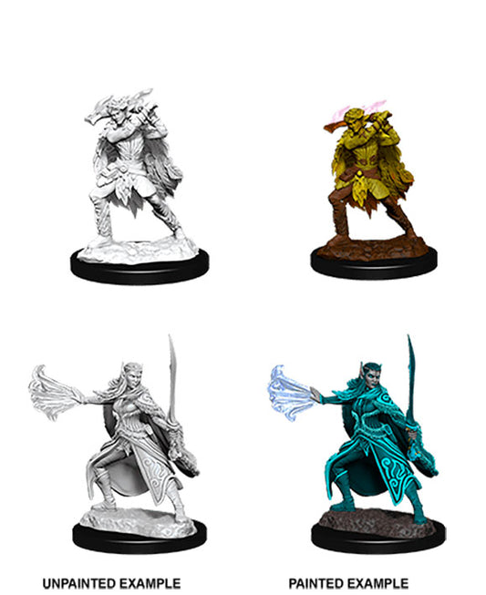 Miniatura SIN PINTAR - D&D - Nolzur's Marvelous - Winter Eladrin & Spring Eladrin