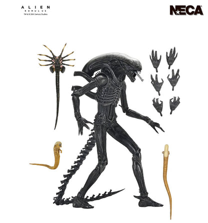 NECA - Alien: Romulus - Ultimate Xenomorph XX121 escala 7"