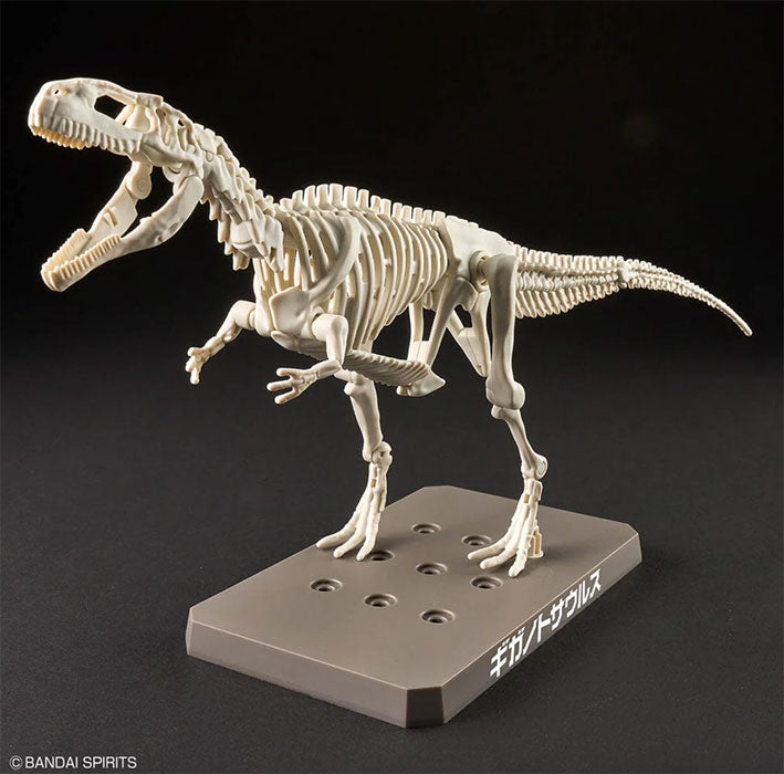 Bandai Hobby - Dinosaur Model Kit - Plannosaurus - Giganotosaurus