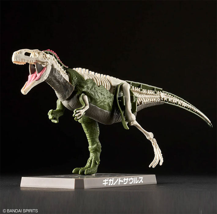 Bandai Hobby - Dinosaur Model Kit - Plannosaurus - Giganotosaurus
