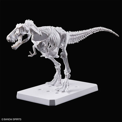 Bandai Hobby - Dinosaur Model Kit - Plannosaurus - Tyrannosaurus Rex (Painting Ver.)