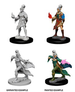 Miniatura SIN PINTAR - Pathfinder - Deep Cuts - Elf Female Sorcerer