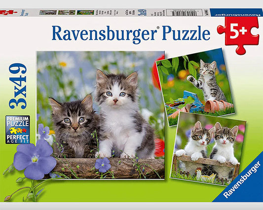 3 Rompecabezas de 49 Piezas Ravensburger - Pequeños Gatitos