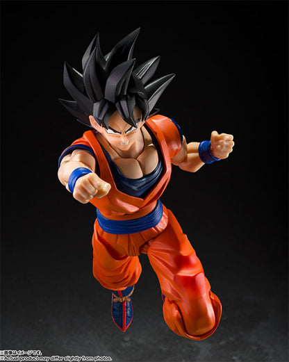 SH Figuarts - Dragon Ball Z - SON GOKU <THE KIND-HEARTED SAIYAN>