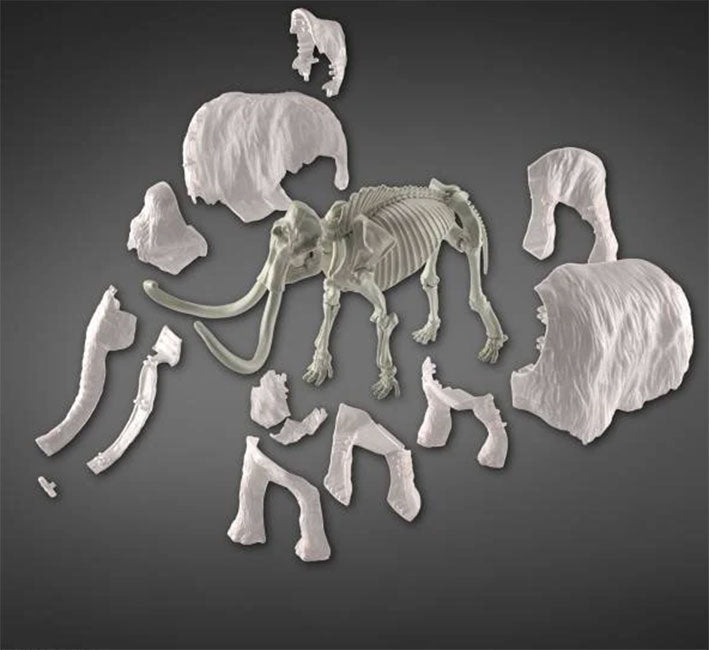 Bandai Hobby -  Exploring Lab Nature - Mammoth (Mamut)