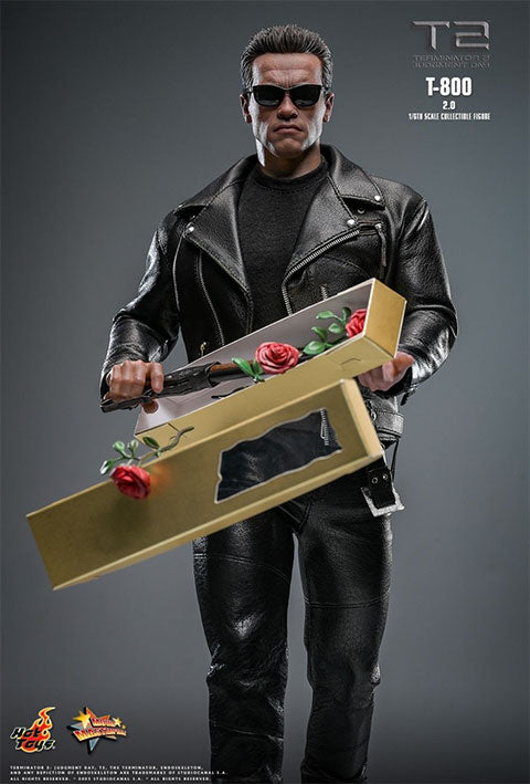Hot Toys MMS795: Terminator 2: Judgment Day - T-800 (2.0) 1/6 Escala