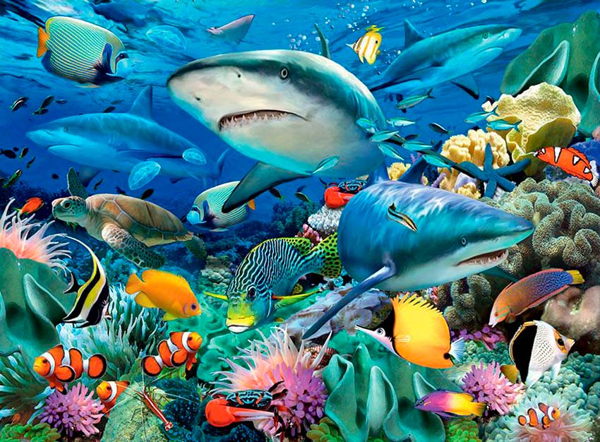 ROMPECABEZAS 100 PIEZAS XXL RAVENSBURGER: ARRECIFE DE CORAL
