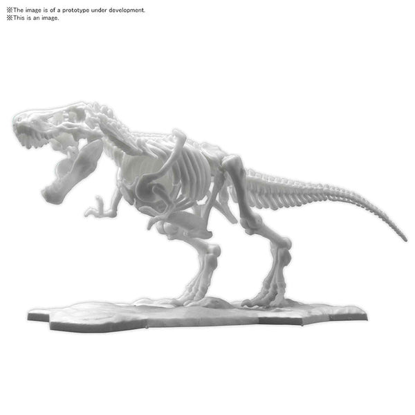 Bandai Hobby - Dinosaur Model Kit Limex - Skeleton Tyrannosaurus Trex